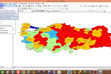 ArcGIS’de Tematik Harita